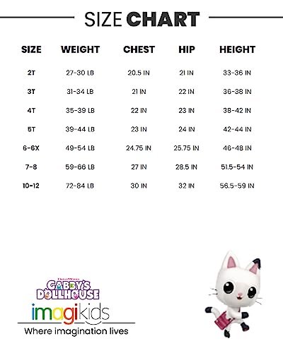 DREAMWORKS GABBY'S DOLLHOUSE Pandy Paws Toddler Girls Hooded Tank Top and Dolphin Shorts Outfit Set Multicolor/Pink 2T