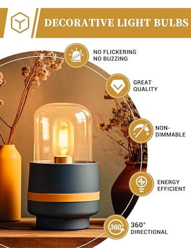 4 Pack LED Edison Bulbs, 4W Edison Light Bulbs, Antique LED Filament Bulbs 40W Equivalent, E26 Base, T45 LED Bulb with Clear Glass, Warm White 2700K, Non Dimmable, Great for Home, Bedroom, Office