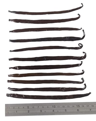 12 Large Vanilla Beans For Making Vanilla Extract Grade A - NON-GMO Planifolia Type Bulk, 6-8 Inches Grade A+