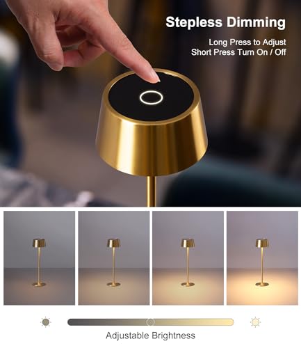 DAWALIGHT Cordless Lamp 4000mAh Rechargeable tbale lamp LED Desk Lamp Tempered Glass Stepless Dimming Black and Gold Battery Operated Portable Cordless 2700K Gold Base