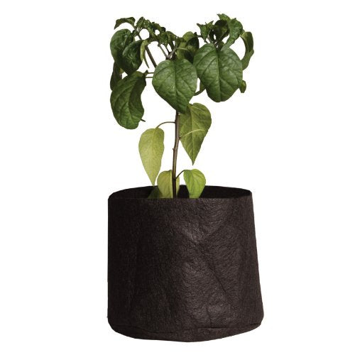 Smart Pots 100-Gallon Smart Pot Soft-Sided Container, Black