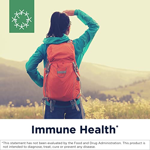 Designs for Health Herbal Immune Support with Mushrooms, Echinacea, Green Tea, Astragalus + Elderberry - Immunitone Plus Pills - Non-GMO Supplement (120 Capsules)