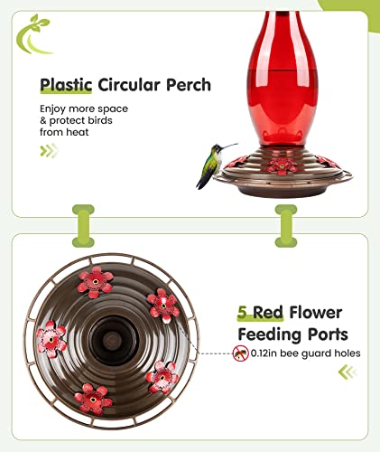 BOLITE Hummingbird Feeder, Glass Hummingbird Feeders for Outdoors Hanging, Five Feeding Ports, 22 Ounces, Red Bottle