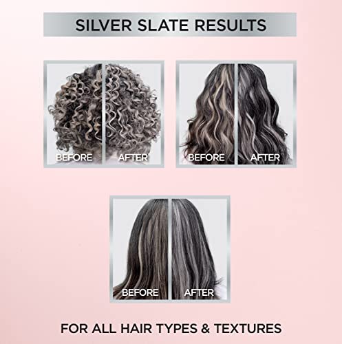 L'Oreal Paris Le Color Gloss One Step Toning Gloss, In-Shower Hair Toner with Deep Conditioning Treatment Formula for Gray Hair, Silver Slate, 1 Kit