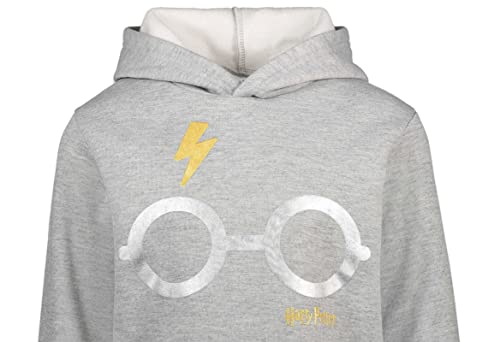 Harry Potter Little Boys Fleece Pullover Hoodie Blue 4