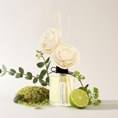 Aronica Twin Sola Diffuser 160ml_Eucalyptus and Bergamot Scent Sticks Oil Diffuser for Modern Home Shelf Decor, Entryway Table Fragrance for Aesthetic Bedroom