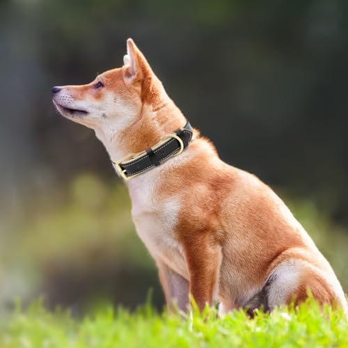 HSIGIO Leather Dog Collar for Small Medium and Large Dogs, Soft Padded Dog Leather Collar with Gold Buckle, Adjustable Genuine Leather Collars for Small Dogs(Black, S)