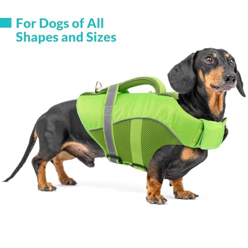 Queenmore Dog Life Jacket, Adjustable Ripstop Dog Life Vest for Swimming Boating, Dog Lifesaver with Superior Buoyancy and Rescue Handle, Dog Swimming Vest for X-Small Dogs(Green,XS)