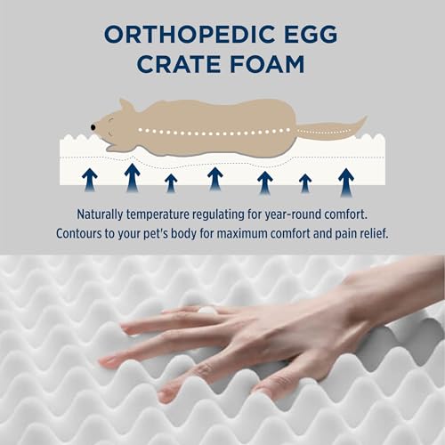 Bedsure Orthopedic Dog Bed for Medium Dogs, Cute Waterproof Egg Foam Dog Beds with Removable Cover, Corduroy Fleece Comfort Furry Dog Mats for Indoor Dogs (30x20, Copper Brwon)