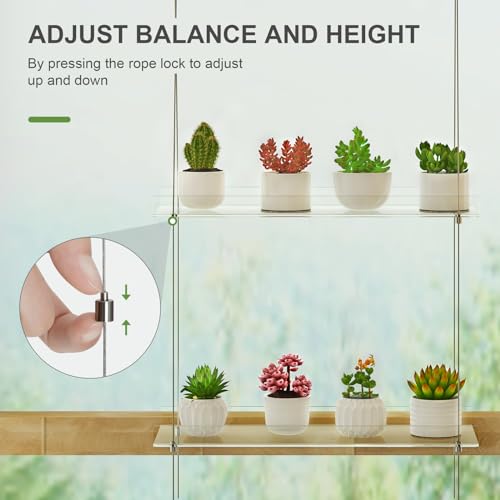 airogym 2-Tier Acrylic Plant Shelves for Window of Kitchen, 16 Inch Window Wall Clear Hanging Plant Stand, Height Adjustable Hanging Shelves for Indoor Window Plants, Succulents Flower Pots Organizer