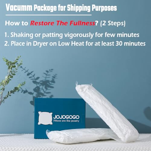 JOJOGOGO 12x20 Outdoor Lumbar Pillow Insert Waterproof Set of 4 Outdoor Lumbar Pillows for Patio Furniture Garden Swing and Front Porch