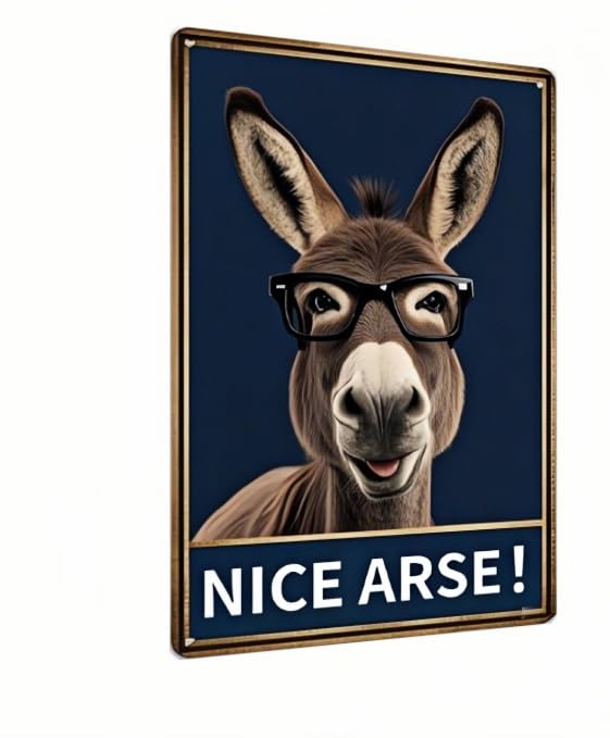 Carastora Funny Donkey Bathroom Sign – Farm-Style Humorous Tin Plaque for Restroom or Toilet – Metal Wall Decor for Home or Farmhouse – Ideal Gag Gift – 8x12 Inc