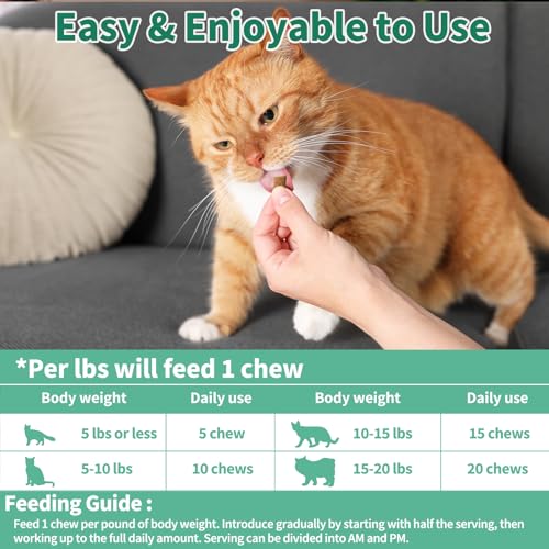 Digestive & Gut Support for Cats - Cat Probiotics Tasty Chews + Herbal Cat Antibiotics Supplement- Healthy Skin, Coat, Gut Support for Cats Supplements & Prebiotics