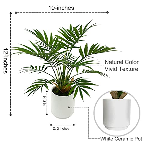 BESAMENATURE Artificial Palm Tree Plant, Potted Artificial Plant for Home Office Decoration, 12" Tall, Ships in White Ceramic Planter