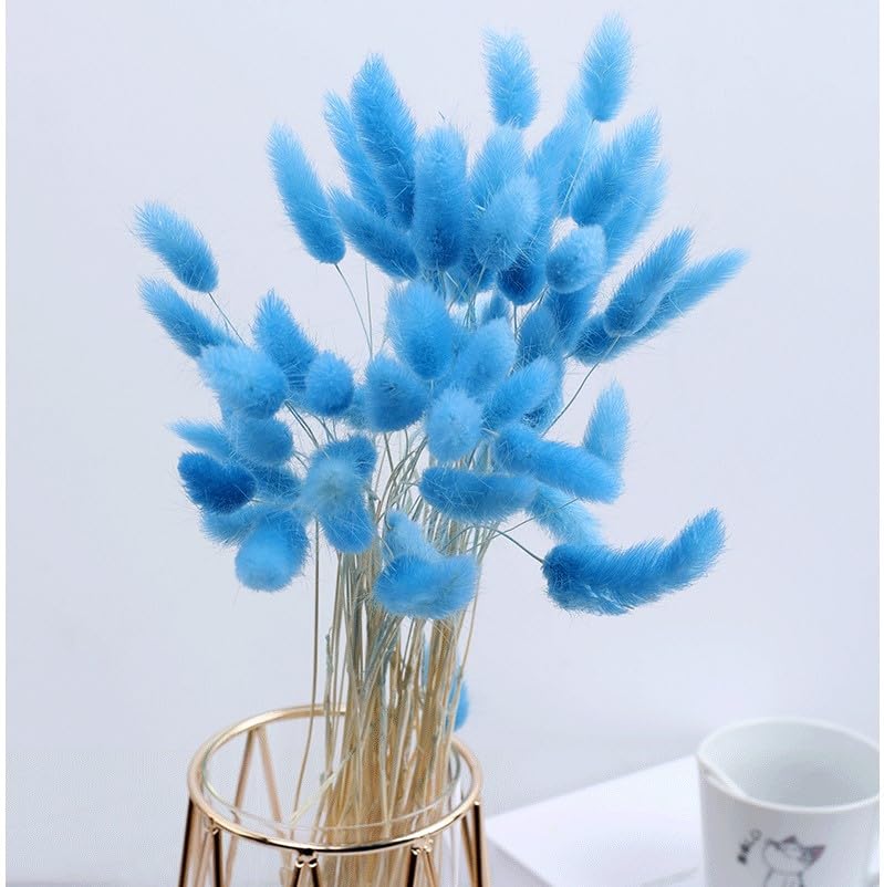 Bunny Tails Dried Flowers, 17inch Natural Rabbit Tail Grass, Boho Lagurus Ovatus Eternal Florals for Wedding, Home Centerpieces Decoration, Flower Arrangements, Photo Props (Pink 50pcs)