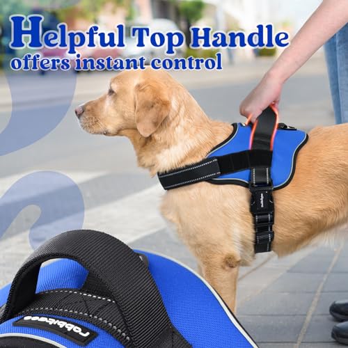 rabbitgoo Dog Harness Small Sized, No Pull No Choke Pet Vest, Easy Wearing with One Buckle, Reflective, Adjustable Pet Harness with Molle for Walking, Training, Blue, S