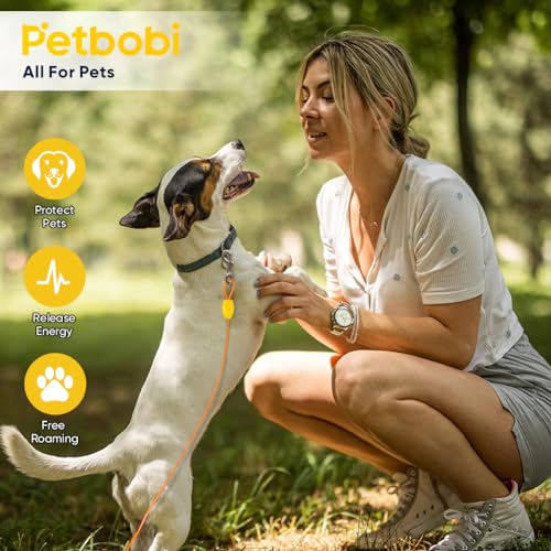 Petbobi Dog Tie Out Cable and Stake 15ft - Outdoor Dog Yard Leash, No Tangle, 16in Ground Stake for Yard, Camping and Beach, Suitable for Small Medium Dogs Up to 20lbs, Orange