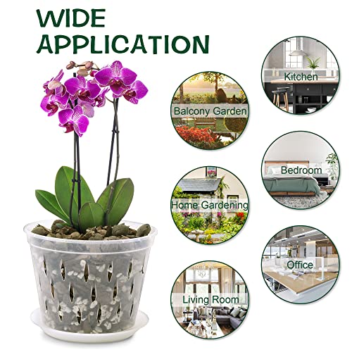Kitypartsy Orchid Pot, 5 Inch 6 Pack Orchid Pots with Holes and Saucers, Clear Plastic Orchid Pots
