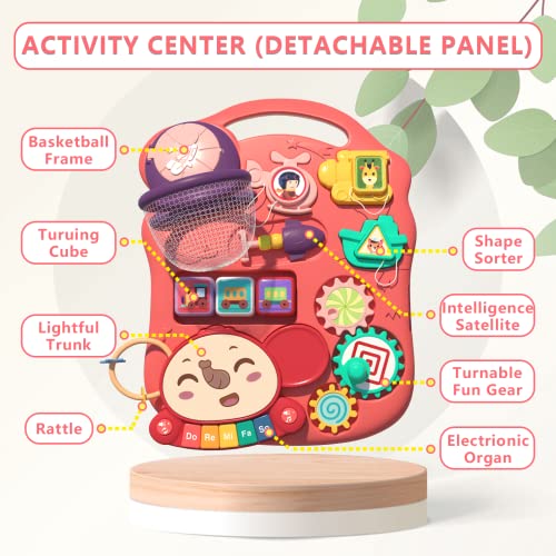 QDRAGON 5 in 1 Push Walkers for Baby Boys, Toddler Learning to Walk, Sit to Stand Walker, Early Learning Push Toy for Infant 12+ Months, Navy Blue