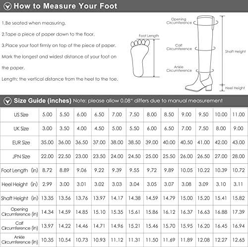 DREAM PAIRS Women's Black Chunky Heel Knee High Boots Side Zipper Round Toe Boots with Faux Fur Lining,Size 10,Grey,CHAI-1
