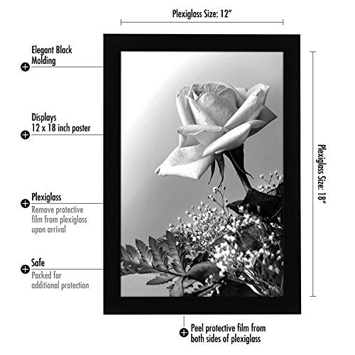 Americanflat 20x24 Picture Frame with Polished Plexiglass - Epic Collection - Gallery Wall Frames with Engineered Wood - Wide Photo Frame for Wall Display - Pine