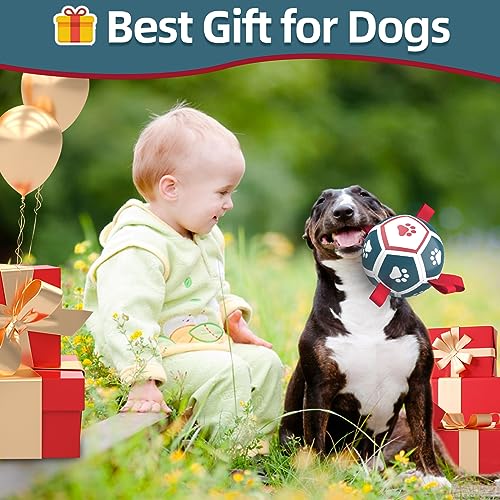 QDAN Dog Toys Soccer Ball with Straps - Durable Dog Balls for Large Dogs, Beach Pool Dog Water Toy, Dog Tug Toys for Tug of War, Puppy Dog Birthday Gifts (8 Inch)