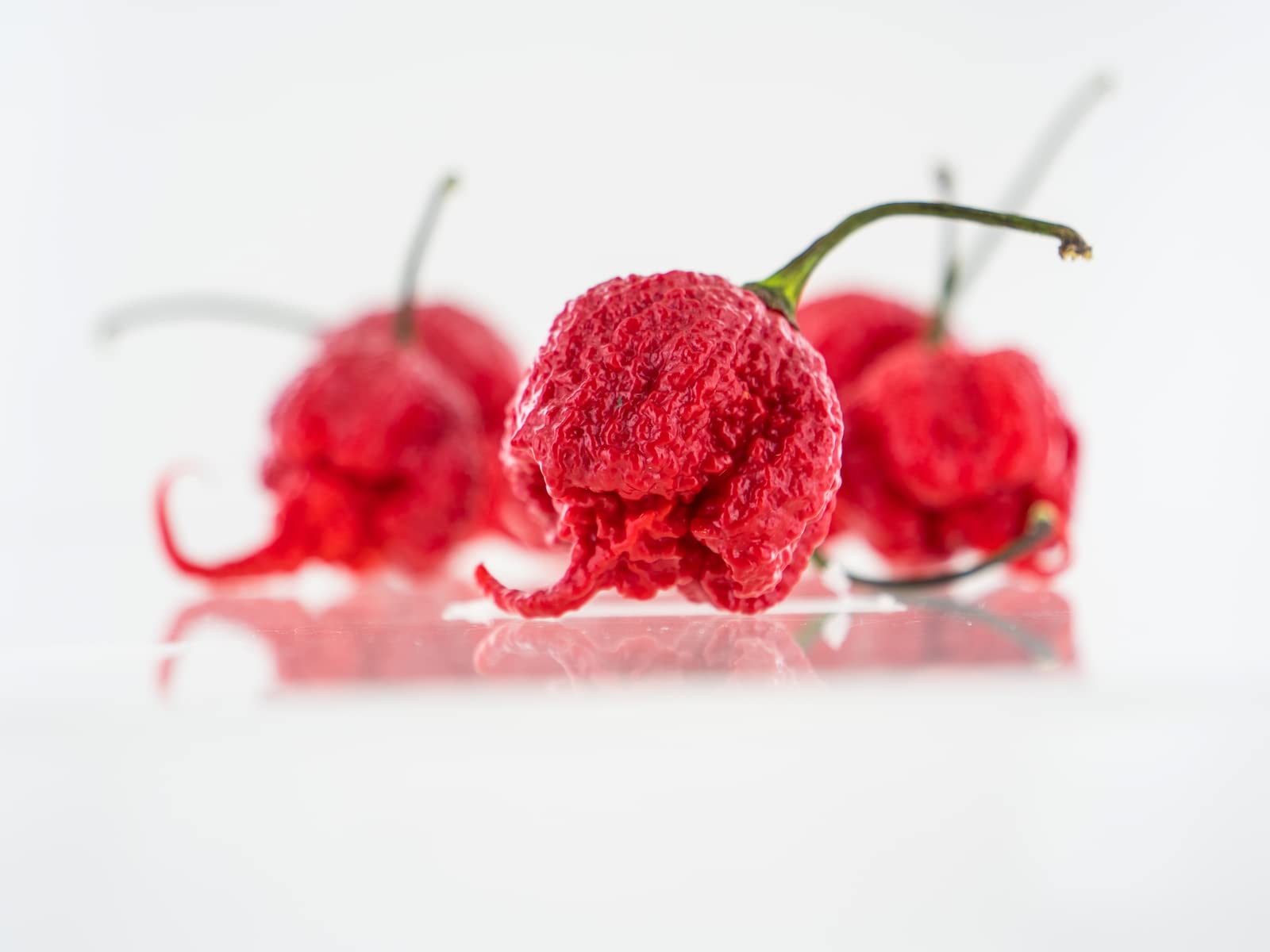 Pepper Joe’s Carolina Reaper Seeds – Pack of 10+ World’s Hottest Chili Pepper Seeds – USA Grown – Premium Non-GMO Carolina Reaper Seeds for Planting