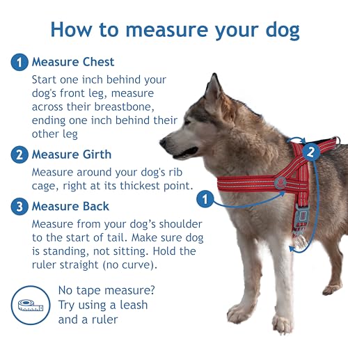 DOCO No-Pull Dog Harness Halter - Reflective, Easy-Control Harness - Ideal for Teaching Leash Manners and Preventing Pulling (Navy Blue, Small)
