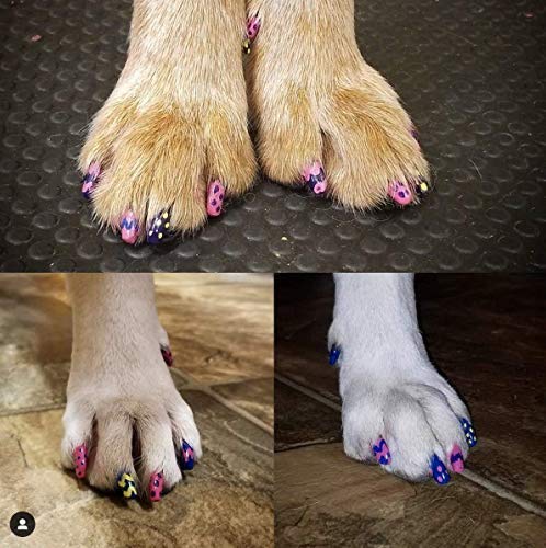 Warren London Pawdicure Polish Pen - Non-Toxic Dog Nail Polish Pen