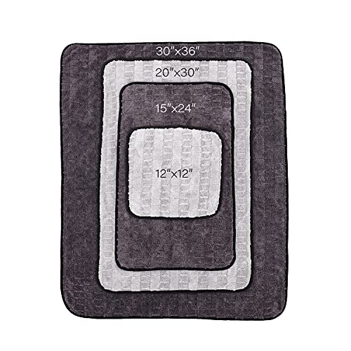 The Rag Company - The Gauntlet Drying Towel - 70/30 Blend Korean Microfiber, Designed to Dry Vehicles Faster Without Scratching Paint or Glass, 900gsm, 30in x 36in, Ice Grey/Grey, Pack of 1