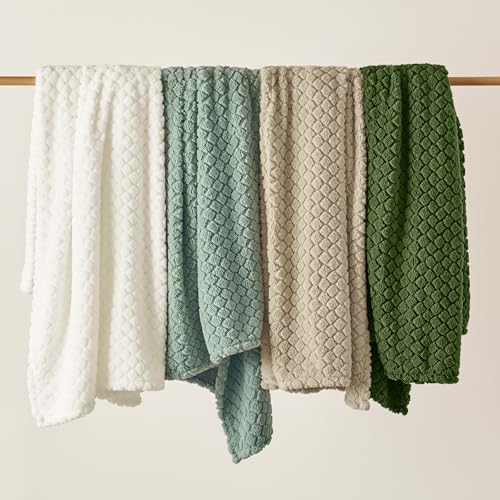 Bedsure Blue Throw Blanket for Couch - Super Soft Cozy Blankets for Women, Cute Small Blanket for Girls, Ashley Blue, 50x60 Inches