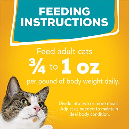 Purina Friskies Wet Cat Food Variety Pack, Tasty Treasures Prime Filets (With Chicken and Tuna, With Chicken, and With Ocean Fish and Tuna, and With Turkey) - (Pack of 24) 5.5 oz. Cans