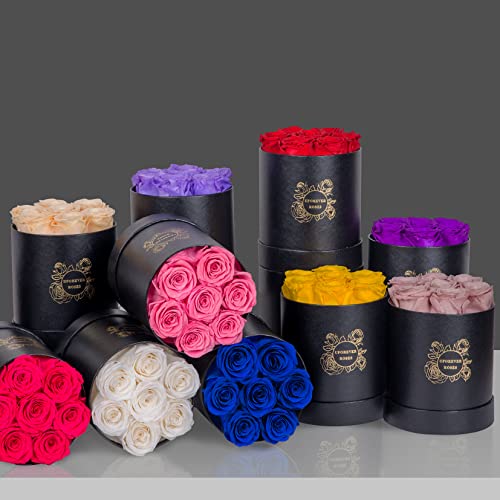 UFOREVER ROSES 7-Piece Preserved Roses in a Box Mothers Day Rose Valentines Day Gifts for Her, Real Roses That Last a Year and More, Christmas Day, Birthday Day (Black)