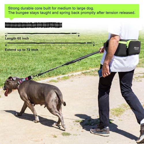 Manificent Hands Free Dog Leash for Medium Large Dogs, Wide Padded Waist Leash Bungee Leash Dog Running Leash for Dog with Reflective Stitching for Walks, Jogging, Running, Hiking, and Dog Training