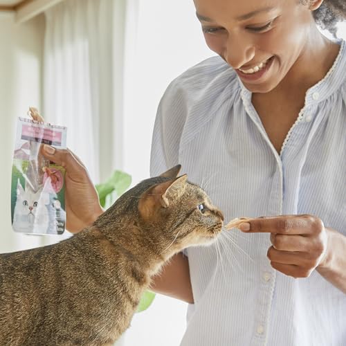 INABA Natural, Premium Hand-Cut Grilled Chicken Fillet Cat Treats/Topper/Complement with Vitamin E and Green Tea Extract, 0.9 Ounces Each, 10 Pack, Variety Pack