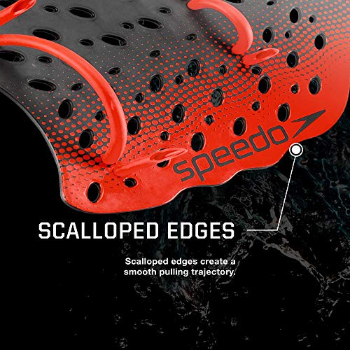 Speedo unisex adult Training Power Plus swimming hand paddles, Blue, Small, US