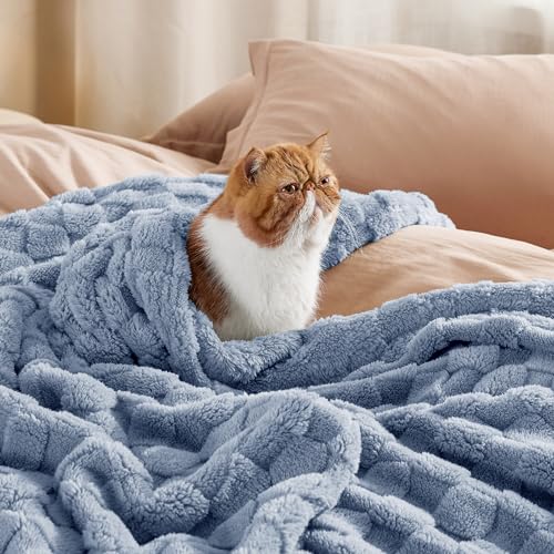 Bedsure Pageant Blue Fleece Blanket for Couch - Super Soft Cozy Twin Blankets for Women, Cute Small Blanket for Girls, 60x80 Inches