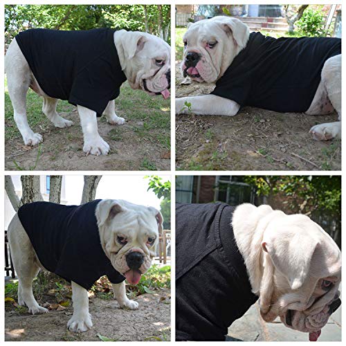 Lovelonglong Pet Clothing Dog Costumes Basic Blank T-Shirt Tee Shirts for Large Dogs Green XXXXL