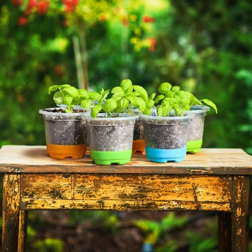 MIXC 12 Packs 4" Clear Nursery Pots with Silicone Base for Easy Transplant, Transparent Plastic Reusable Seedling, Starter & Flower Pots(Bule)