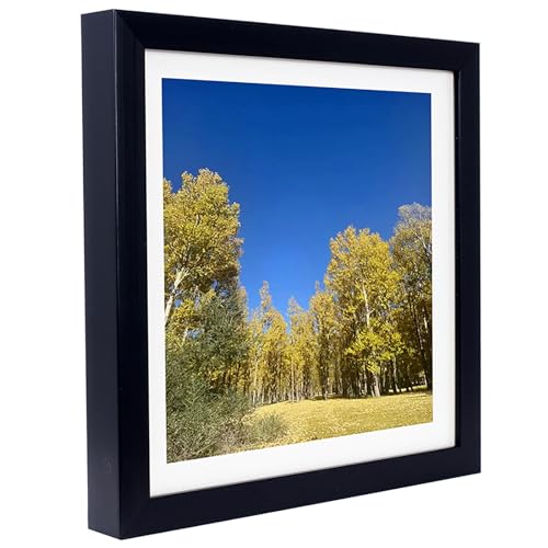 BENGBUKAISAI Black Brushed 8x10 Picture Frame, Picture Display 5x7with white cardstock or 8x10 without white cardstock, for wall display and tabletop display