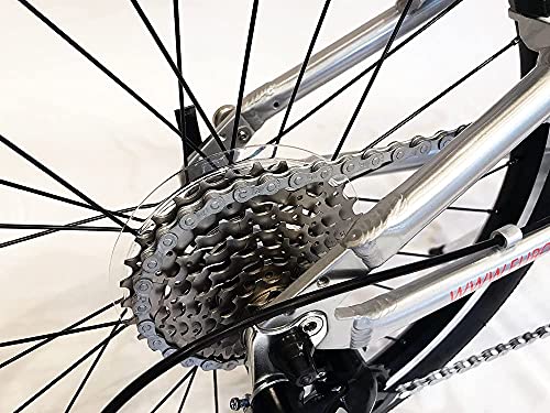 ZiZZO Liberte 23lb Lightweight Aluminum Alloy 20-Inch 8-Speed Folding Bicycle with Quick Release Wheels (Silver/Red)