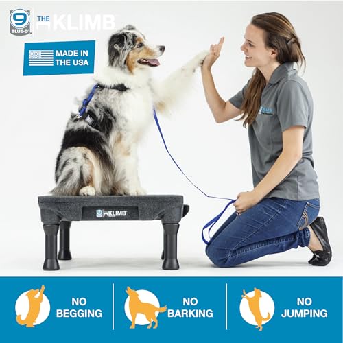 Blue-9 KLIMB Training Kit, Professionally Designed Dog Platform and Accessories for Training and Agility and Accessories, Made in The USA, Black