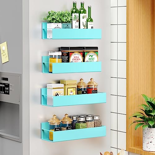 Vetacsion 4 Pack Moveable Fridge Magnetic Spice Racks,Metal Red
