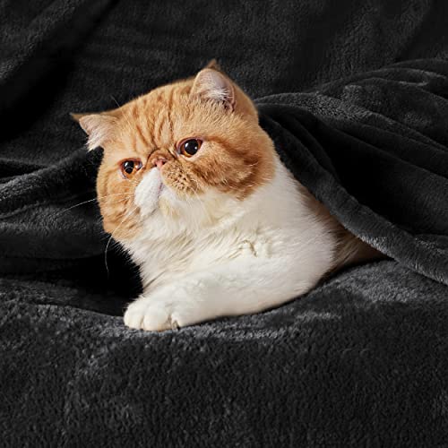 Bedsure Fleece Blanket Twin Blanket Teal-300GSM Soft Lightweight Plush Cozy Twin Blankets for Bed,Sofa,Couch,Travel,Camping,60x80 inches