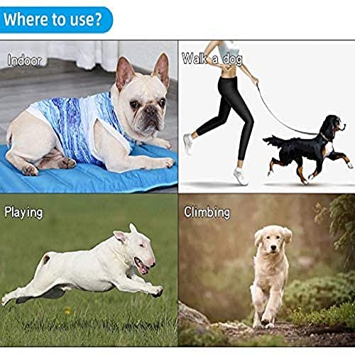 SHIAOMIN Dog Cool Vest Instant Cooling Bulldog Clothes on Summer for Small to Medium Dogs and Cats (Medium)