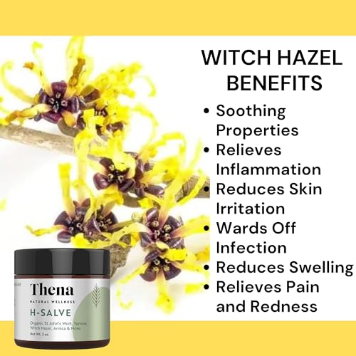 Intense Hemorrhoid Treatment 100% Natural Hemorrhoid Cream & Fissure Ointment Control Organic Lavender Arnica Witch Hazel Fast Healing Maximum Strength, Best with Thena Sitz Bath Soak for Women Men