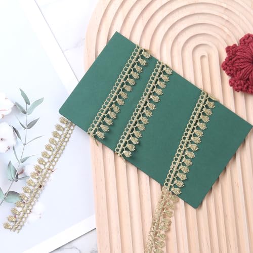 Gold Fringe Trim Tassel Lace Embroidery for Sewing DIY Craft Costume 0.78 Inch (Gold #L21 (5Yard))