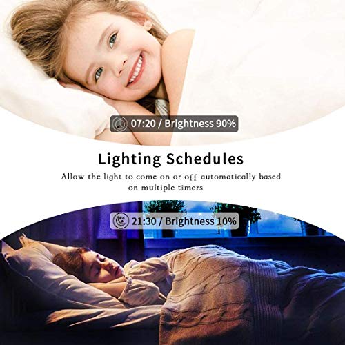 Smart Dimmer Switch 2.4Ghz Alexa Smart Switch WiFi Light Switch Compatible with Alexa and Google Assistant,Single Pole, Neutral Wire Required