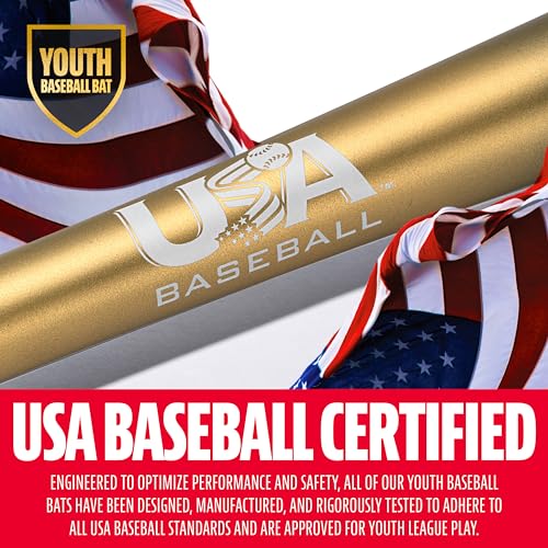 Franklin Sports Youth Baseball Bat - Heist Kids Baseball Bats for Ages 8-12 - 2 5/8" Inch Big Barrel Kids Metal Bat - Youth Drop -10 Aluminum Bats - USA Baseball - 30" Inch / 20oz. - Royal 1000