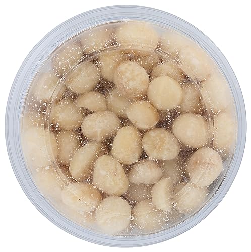AURORA PRODUCTS Organic Raw Macadamia Nuts, 6 OZ